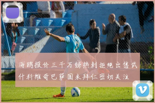 海鸥报价三千万镑热刺拒绝出售武什科维奇巴萨国米拜仁密切关注